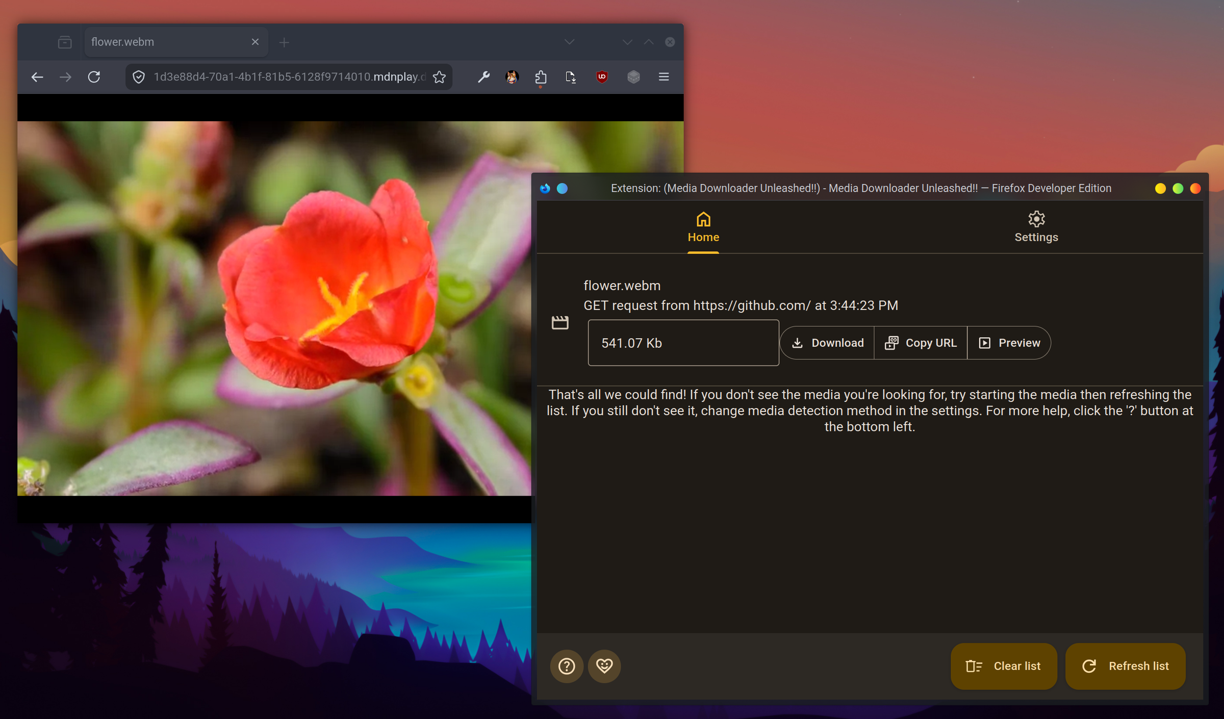 Main download interface